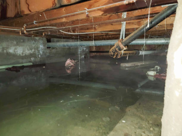Best Emergency water damage restoration  in Bodega Bay, CA