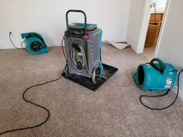 Best Water damage restoration near me  in Bodega Bay, CA