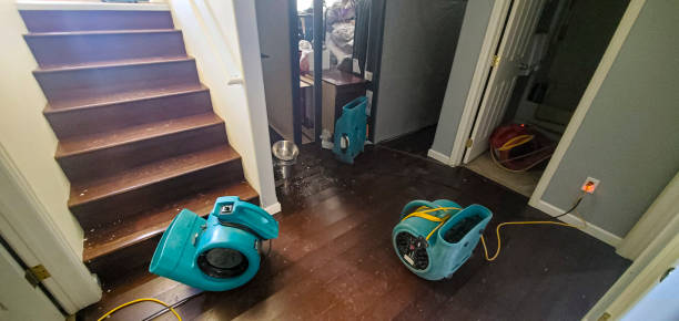 Best Commercial water damage restoration  in Bodega Bay, CA