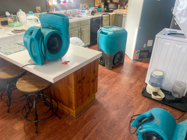 Best Flood damage cleanup  in Bodega Bay, CA