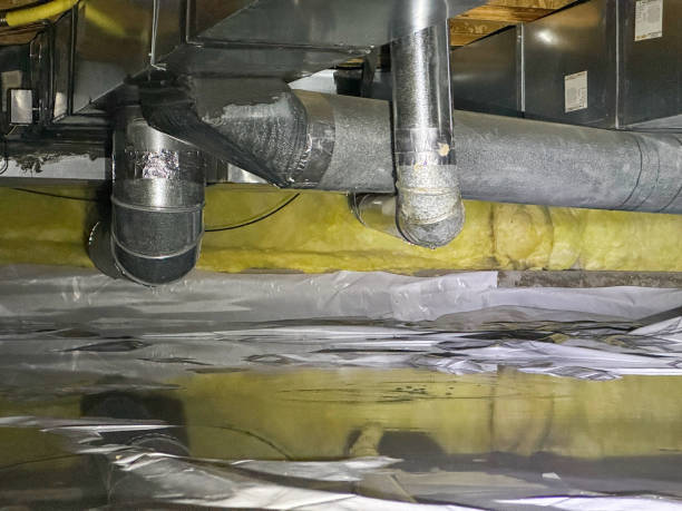 Best Flooded house restoration  in Bodega Bay, CA