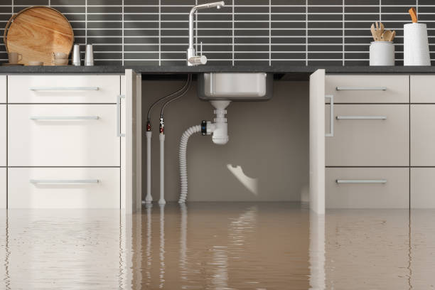 Best Water damage restoration mold remediation  in Bodega Bay, CA