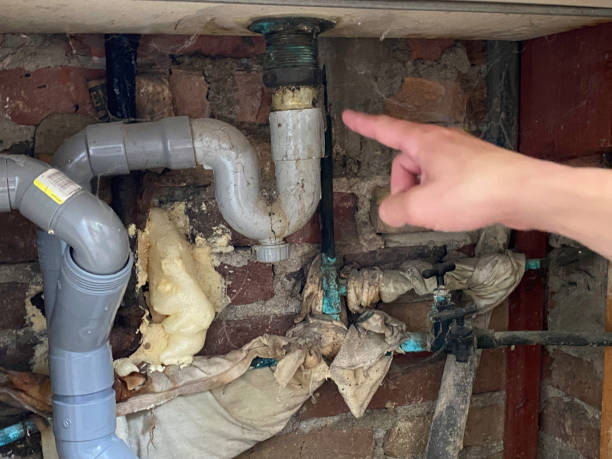 Best Carpet water damage restoration  in Bodega Bay, CA