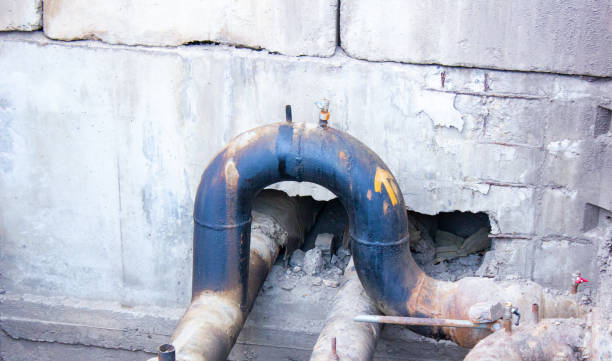 Best Mold removal after water damage  in Bodega Bay, CA