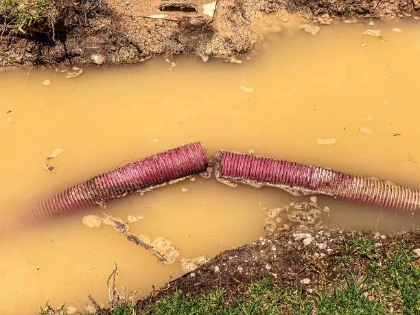 Best Water damage restoration insurance claims  in Bodega Bay, CA